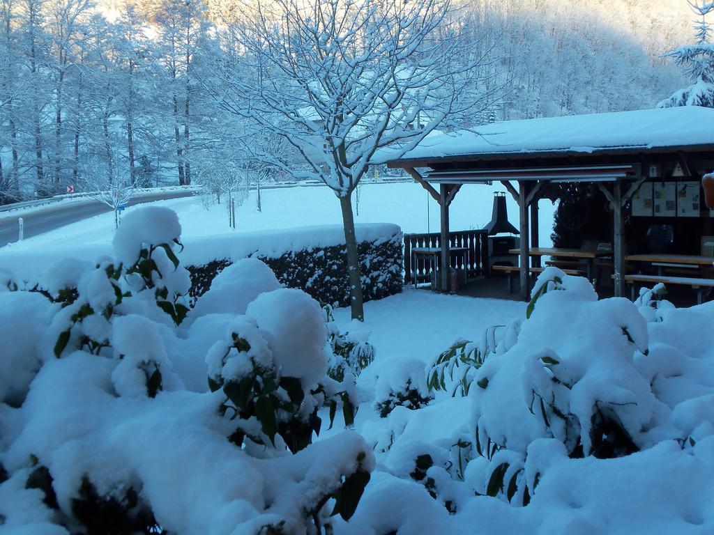 Pension Haus Rose Oberharmersbach Exteriör bild