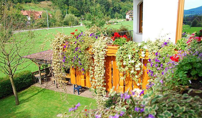 Pension Haus Rose Oberharmersbach Rum bild