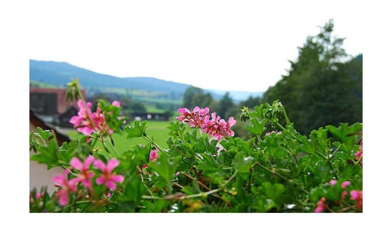 Pension Haus Rose Oberharmersbach Exteriör bild