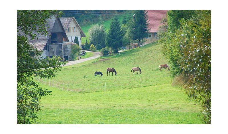 Pension Haus Rose Oberharmersbach Exteriör bild